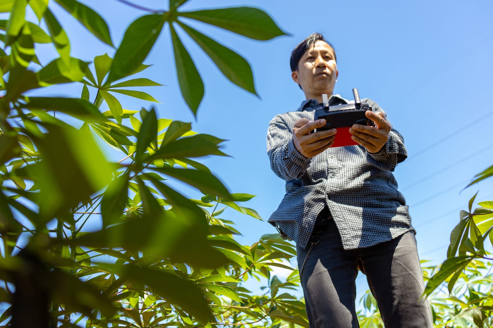 Pessoa operando um rádio-controle de drone sobre um campo verde